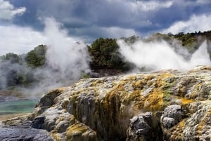 Depuis Auckland : Rotorua Māori Village & Combinaisons d'activités