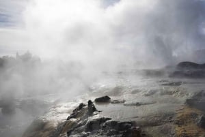 Desde Auckland Pueblo maorí de Rotorua y combinaciones de actividades