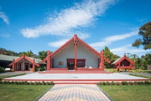 Da Auckland: Villaggio Māori di Rotorua e combinazioni di attività