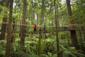 Desde Auckland Pueblo maorí de Rotorua y combinaciones de actividades