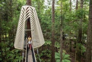 Desde Auckland Pueblo maorí de Rotorua y combinaciones de actividades