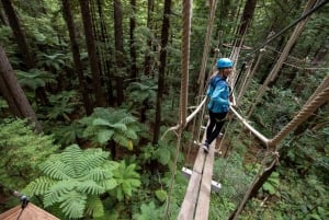 Desde Auckland Pueblo maorí de Rotorua y combinaciones de actividades