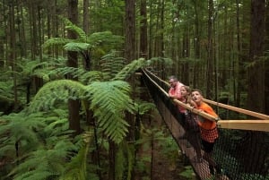 Desde Auckland Pueblo maorí de Rotorua y combinaciones de actividades