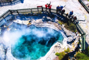 From Auckland: Rotorua Māori Village and Waitomo Caves Tour