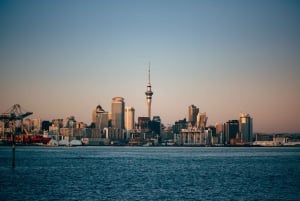 Da Auckland: Tour di un giorno sull'isola di Waiheke