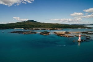 Fra Auckland: Dagstur med smag på Waiheke Island