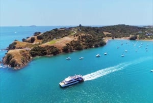 From Auckland: Taste Of Waiheke Island Day Tour