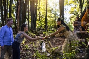 From Auckland: Te Pā Tū Māori Village Private Day Tour