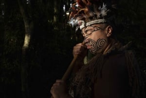 From Auckland: Te Pā Tū Māori Village Private Day Tour