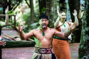 From Auckland: Te Pā Tū Māori Village Private Day Tour