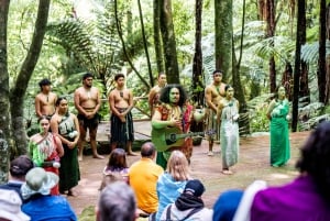 Fra Auckland: Te Pā Tū Māori Village Privat dagstur