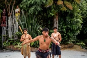 Fra Auckland: Te Pā Tū Māori Village Privat dagstur