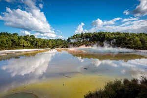 De Auckland: Excursão de um dia a Wai-O-Tapu e Polynesian Spa Rotorua