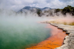 De Auckland: Excursão de um dia a Wai-O-Tapu e Polynesian Spa Rotorua