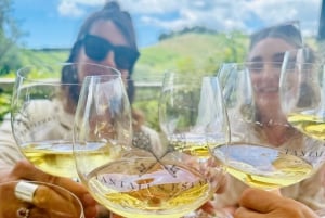 从 奥克兰: Waiheke岛 Wineries' Tour