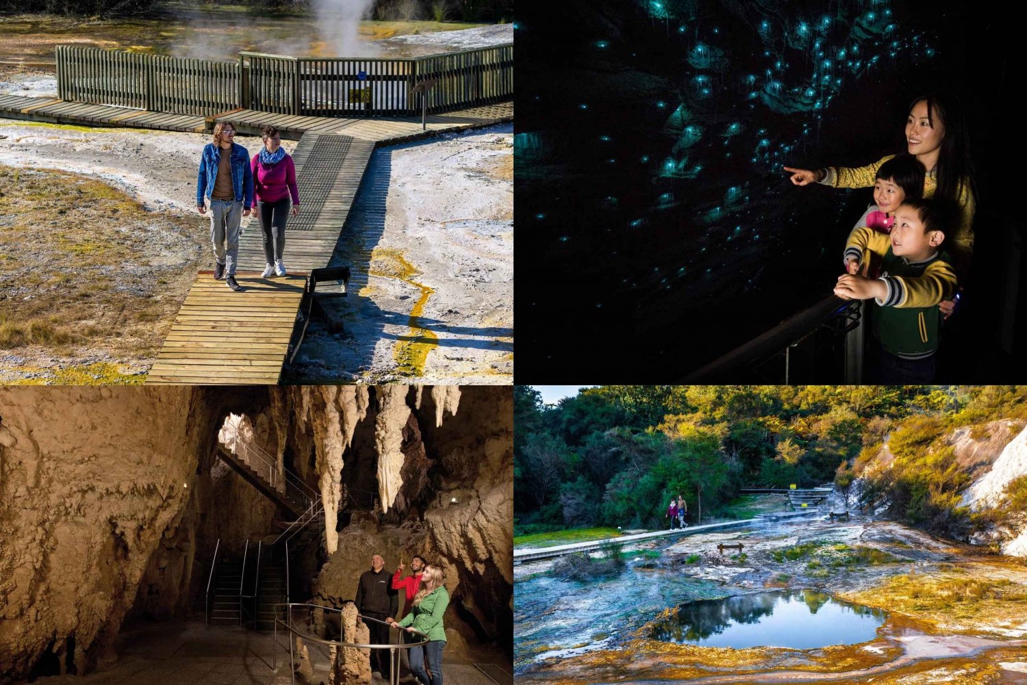 Da Auckland: Grotta di Waitomo e tour di gruppo di Orakei Korako