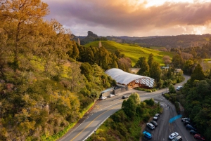 Från Auckland: Waitomo-grottan och Orakei Korako Gruppdagstur