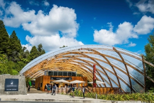 Desde Auckland: Excursión de un día en grupo a la Cueva de Waitomo y Orakei Korako