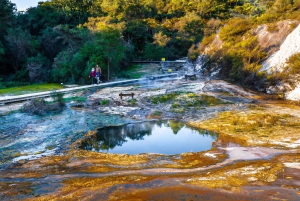 Da Auckland: Grotta di Waitomo e tour di gruppo di Orakei Korako