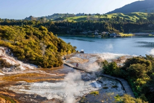 Från Auckland: Waitomo-grottan och Orakei Korako Gruppdagstur