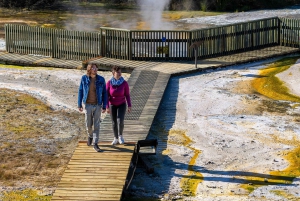 Da Auckland: Grotta di Waitomo e tour di gruppo di Orakei Korako