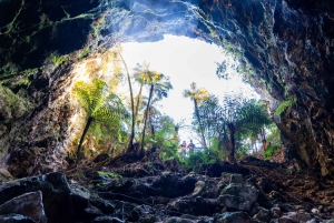 Da Auckland: Grotta di Waitomo e tour di gruppo di Orakei Korako