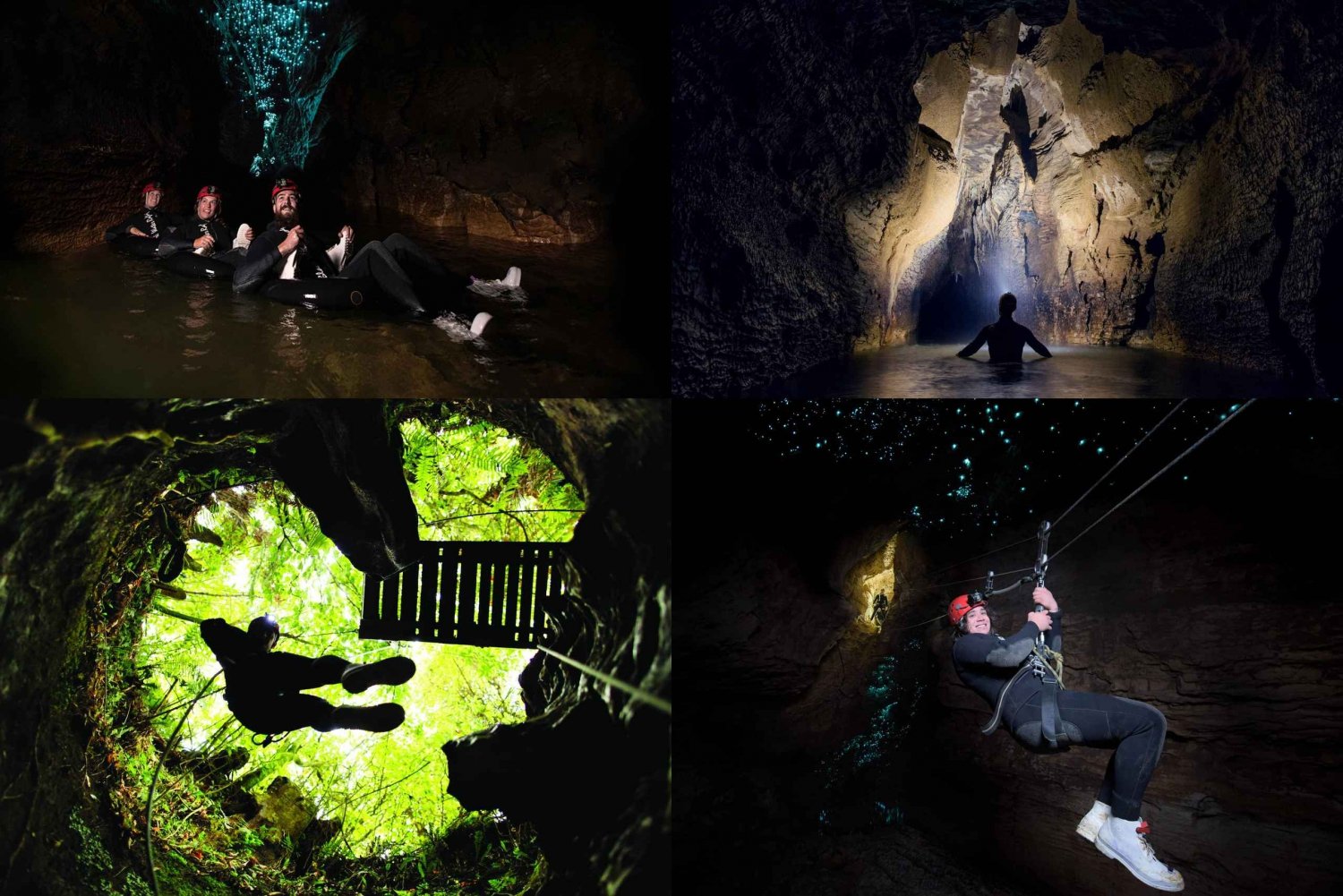 Fra Auckland: Waitomo Caves Black Abyss Adventure Tour