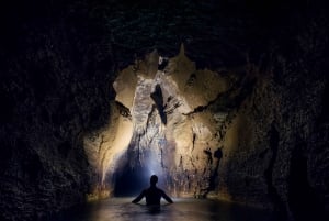 From Auckland: Waitomo Caves Black Abyss Adventure Tour