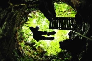 From Auckland: Waitomo Caves Black Abyss Adventure Tour