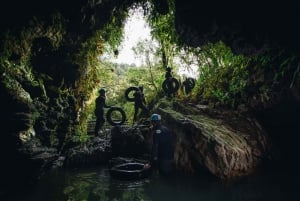 From Auckland: Waitomo Caves Black Abyss Adventure Tour