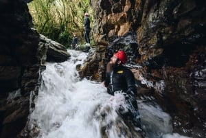 From Auckland: Waitomo Caves Black Abyss Adventure Tour