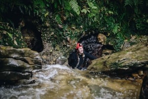 From Auckland: Waitomo Caves Black Abyss Adventure Tour