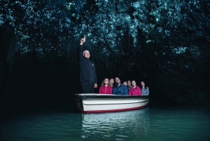 Från Auckland: Waitomo Caves dagstur med båttur