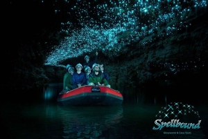 Aucklandista: Waitomo Glowworm and Cave Explorer -ryhmäretki