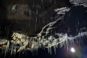 De Auckland: Waitomo Glowworm and Cave Explorer Tour em grupo