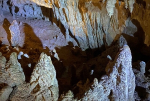 De Auckland: Waitomo Glowworm and Cave Explorer Tour em grupo