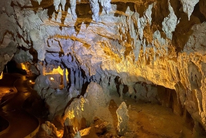 De Auckland: Waitomo Glowworm and Cave Explorer Tour em grupo