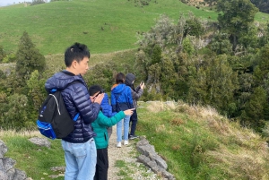 De Auckland: Waitomo Glowworm and Cave Explorer Tour em grupo