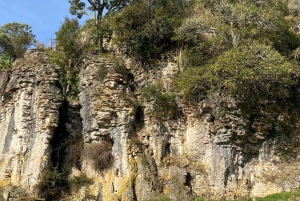 De Auckland: Waitomo Glowworm and Cave Explorer Tour em grupo