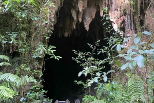 De Auckland: Waitomo Glowworm and Cave Explorer Tour em grupo