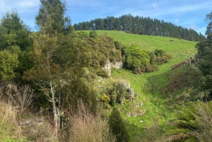 De Auckland: Waitomo Glowworm and Cave Explorer Tour em grupo