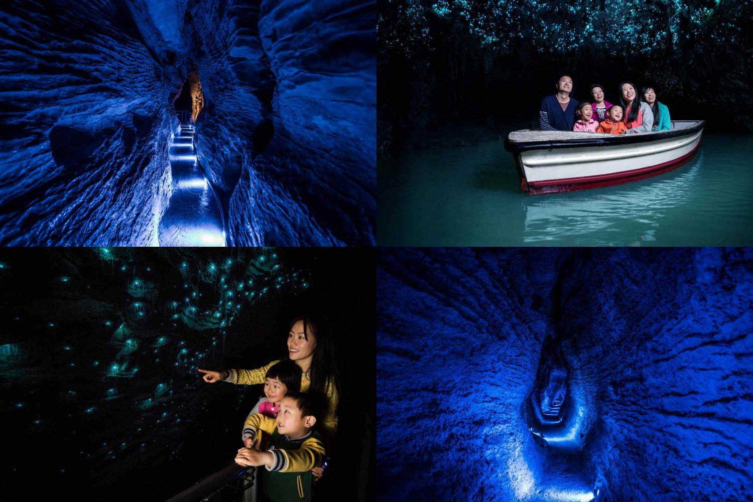 From Auckland: Waitomo Glowworm and Ruakuri Caves Day Tour