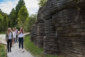 Fra Auckland: Dagstur til Waitomo Glowworm og Ruakuri Caves