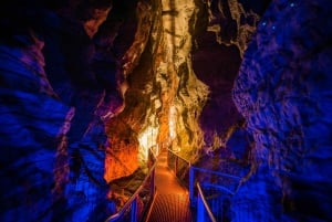 Au départ d'Auckland : Excursion d'une journée au ver luisant de Waitomo et aux grottes de Ruakuri