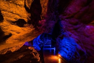 Fra Auckland: Dagstur til Waitomo Glowworm og Ruakuri Caves