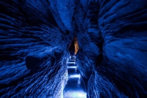 Fra Auckland: Dagstur til Waitomo Glowworm og Ruakuri Caves