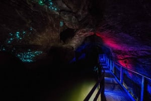 Fra Auckland: Dagstur til Waitomo Glowworm og Ruakuri Caves