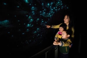 Fra Auckland: Dagstur til Waitomo Glowworm og Ruakuri Caves