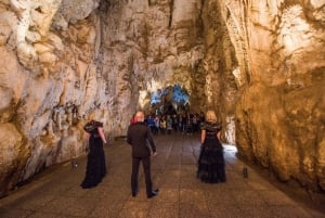 Fra Auckland: Dagstur til Waitomo Glowworm og Ruakuri Caves