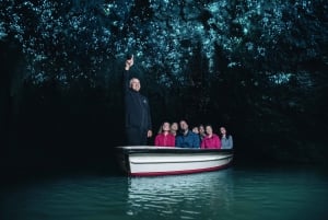 Fra Auckland: Dagstur til Waitomo Glowworm og Ruakuri Caves